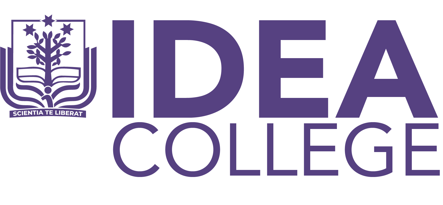IDEA College
